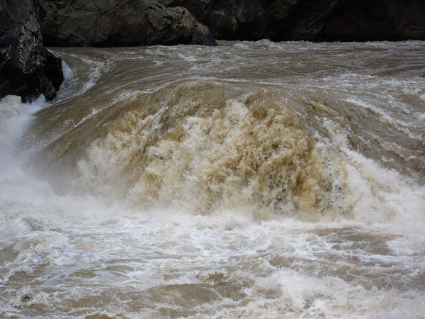 img_1355.jpg