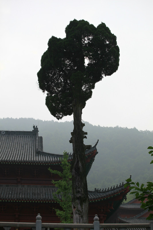 img_3463.jpg