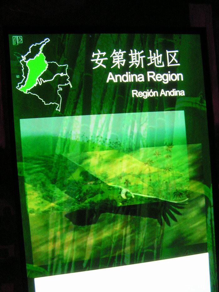 pict0560_С.jpg