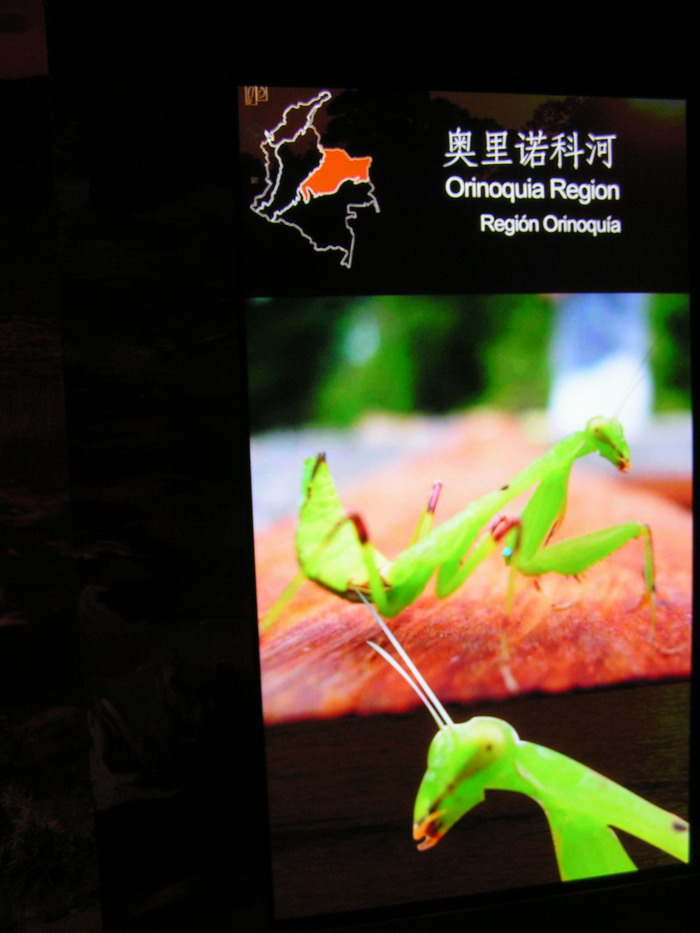 pict0563_С.jpg