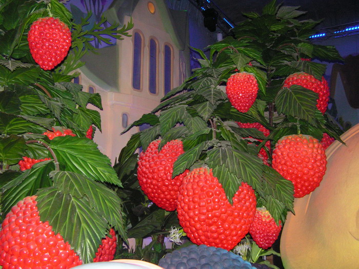 pict0587_С.jpg
