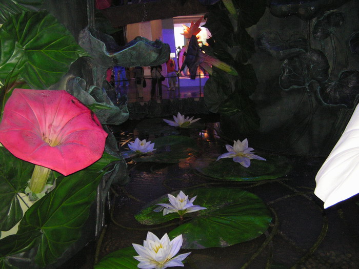 pict0596_С.jpg