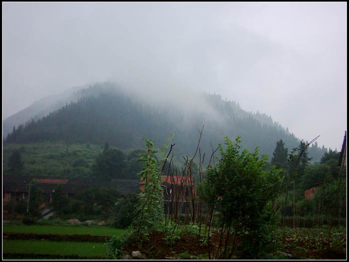 dsci0013.jpg