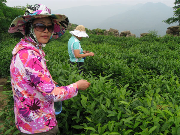 20100615 029.jpg