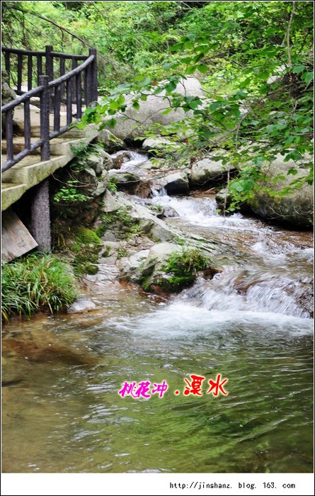 neo_img_neo_img_dsc_2387.jpg