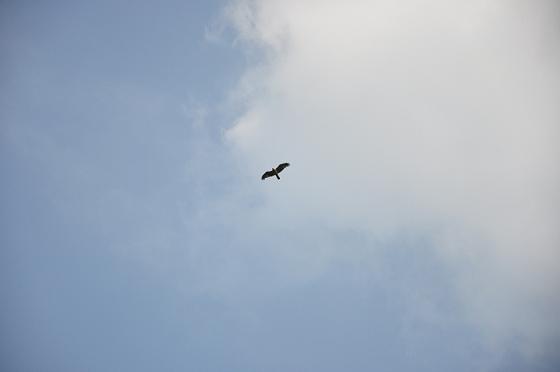 dsc_0114.jpg