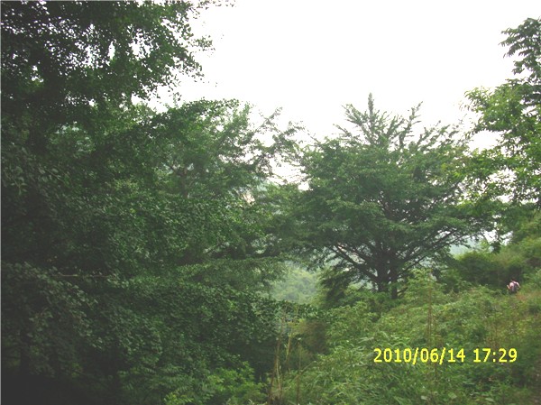 img_0307.jpg