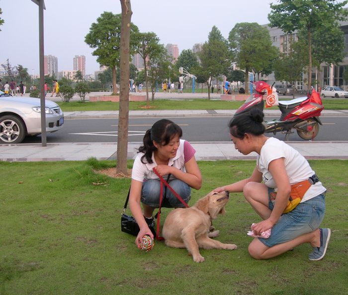 dscn8682.jpg