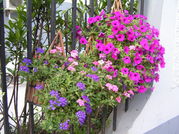 pict0628_С.jpg