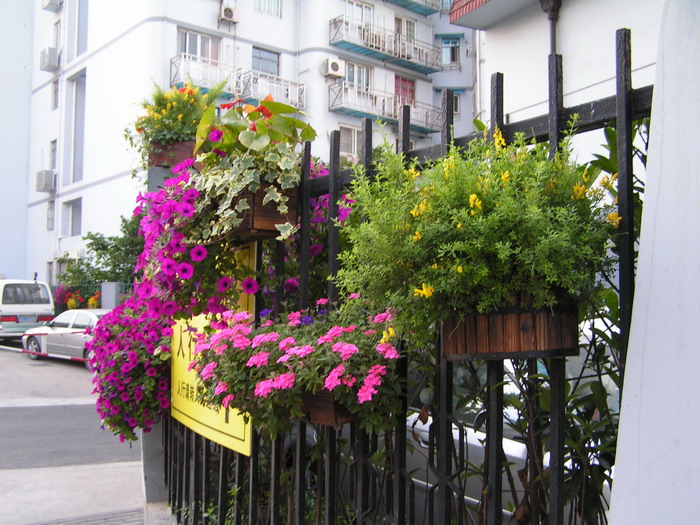 pict0629_С.jpg