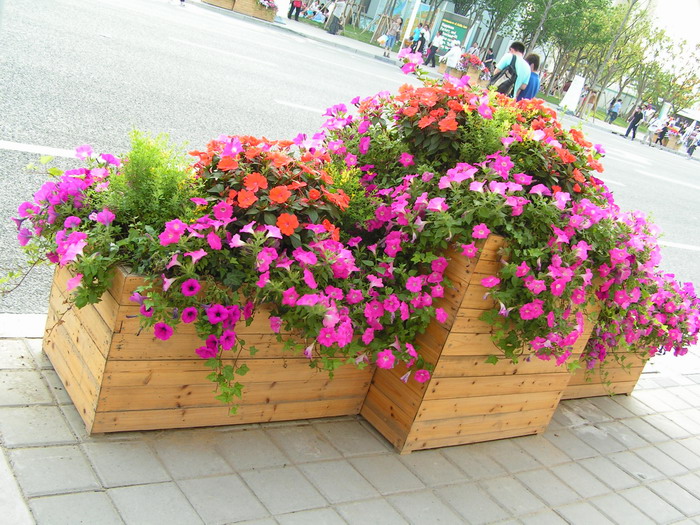 pict0861_С.jpg