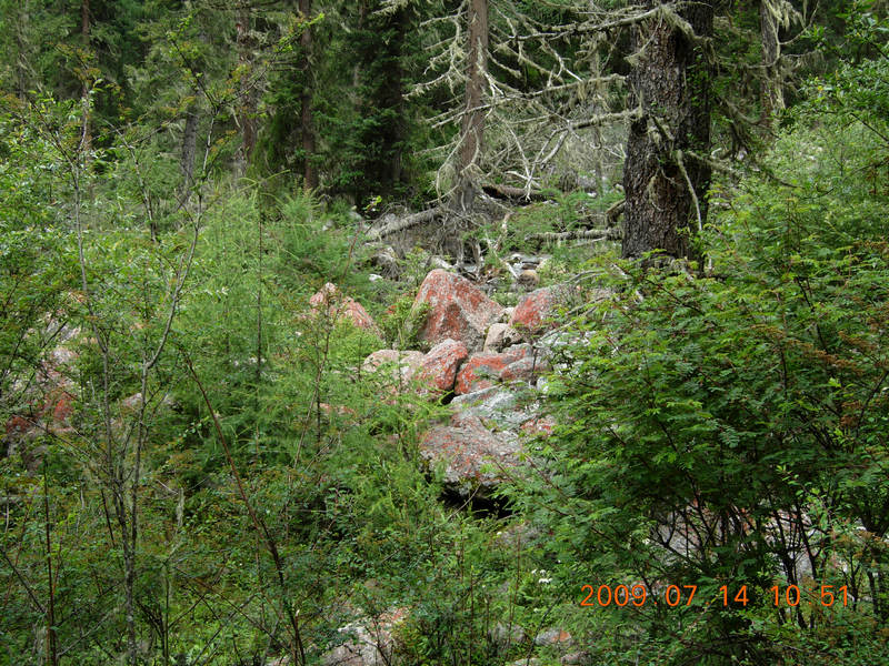 dscn1096.jpg