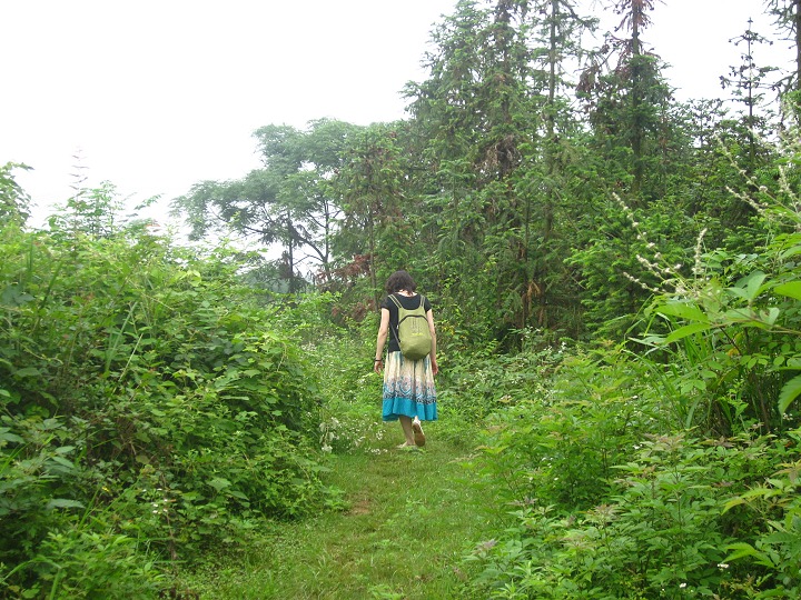 img_8246.jpg
