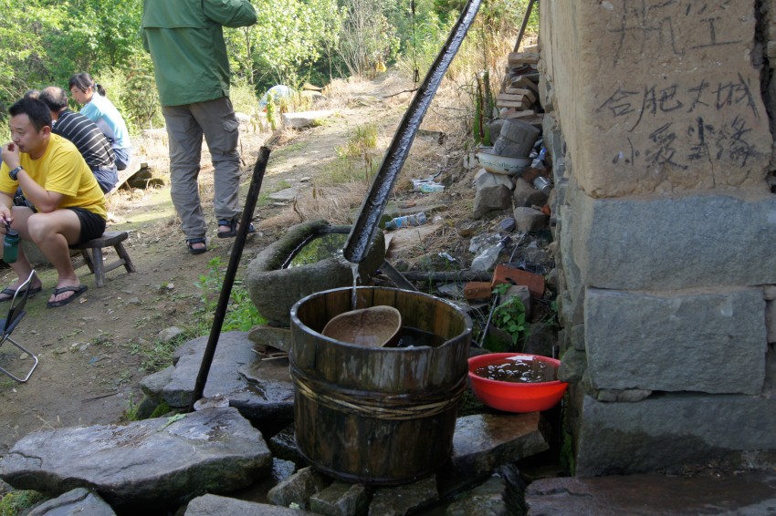 dsc02260_conew1.jpg
