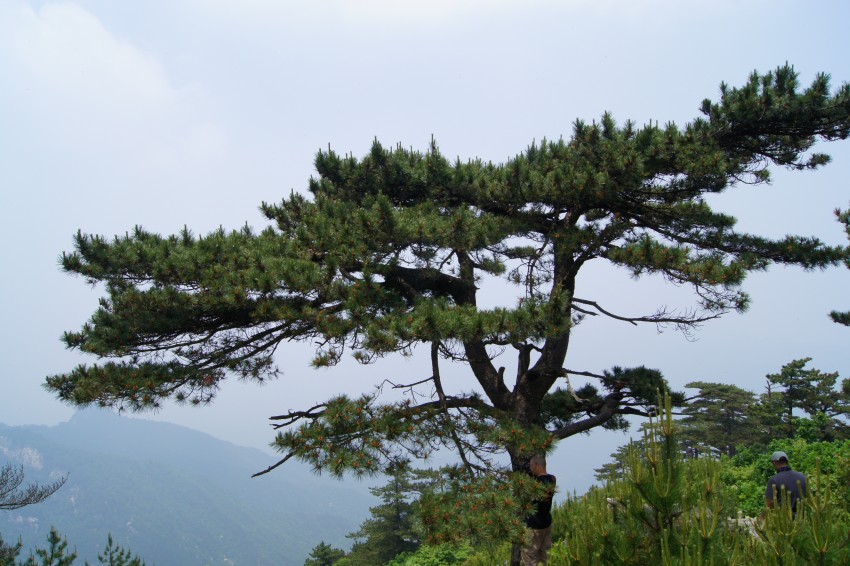 dsc02361_conew1.jpg