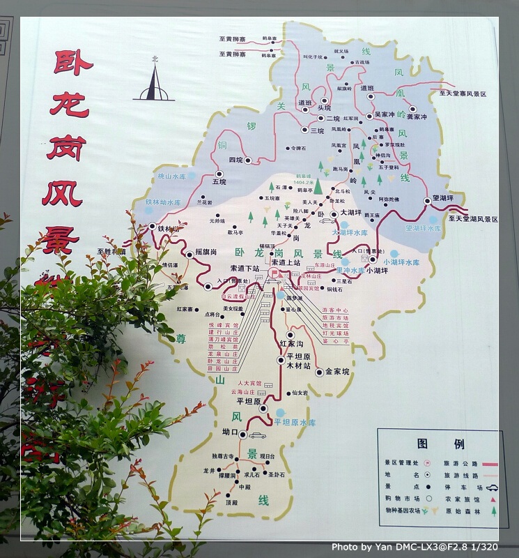 20100614_160350.jpg