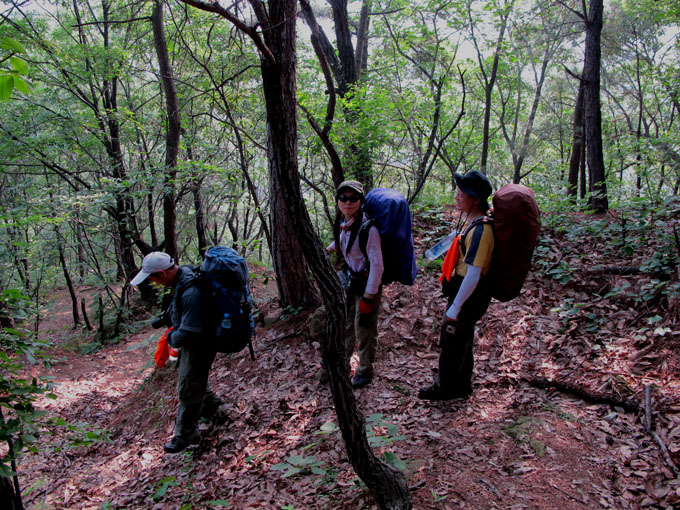 yuen 073.jpg
