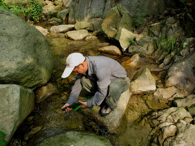 yuen 081.jpg