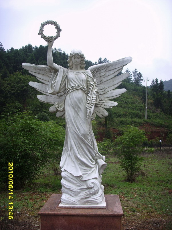 ssl20481.jpg