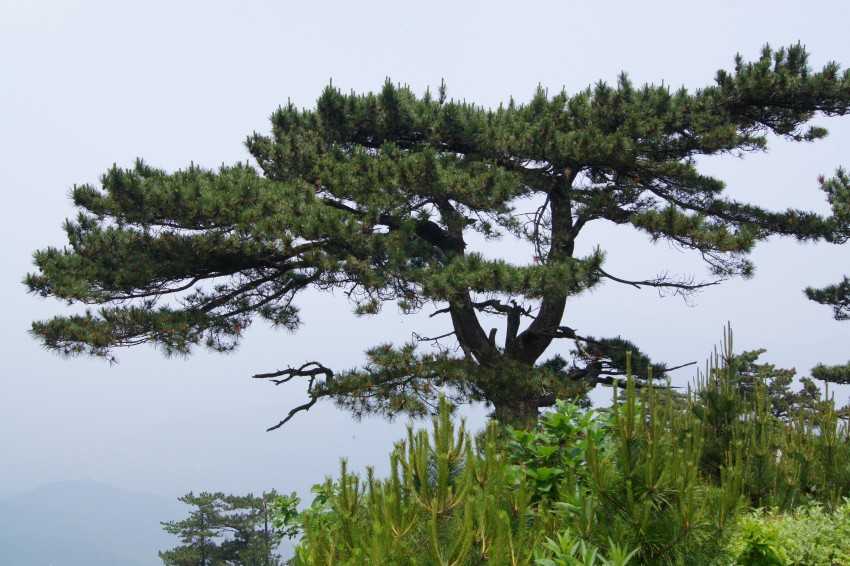 dsc02382_conew1.jpg