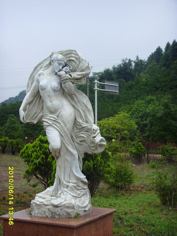 ssl20483.jpg