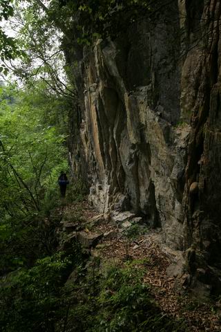 С img_3001.jpg