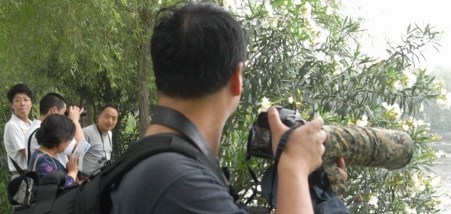 663aa0ddx8943aedb8ee6&690.jpg