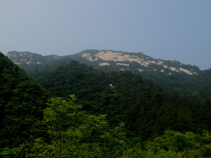 yuen 087.jpg