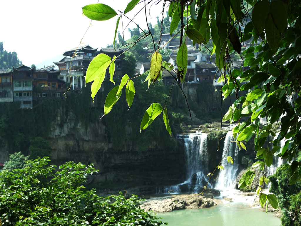 p1050053.jpg