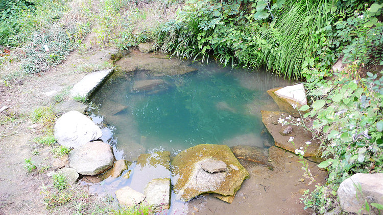 p1070189.jpg