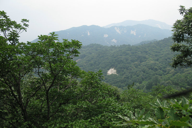 img_0053.jpg