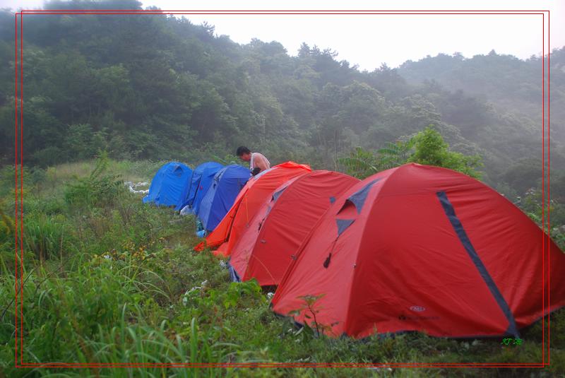 dsc_2424_neo_img.jpg