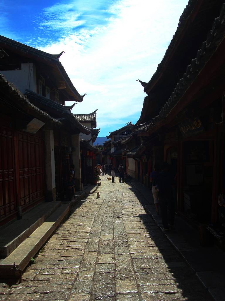 dsc07886.jpg