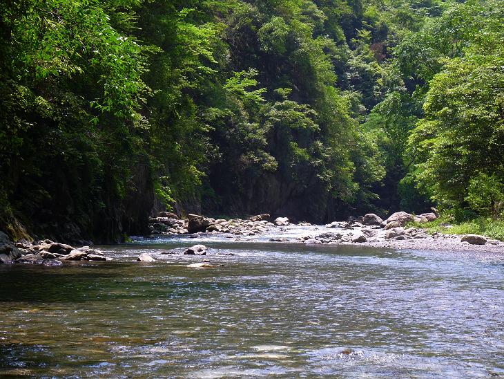 p1020894.jpg