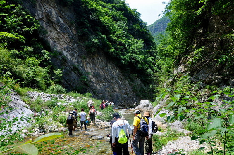 dsc_0125Ϫ.jpg