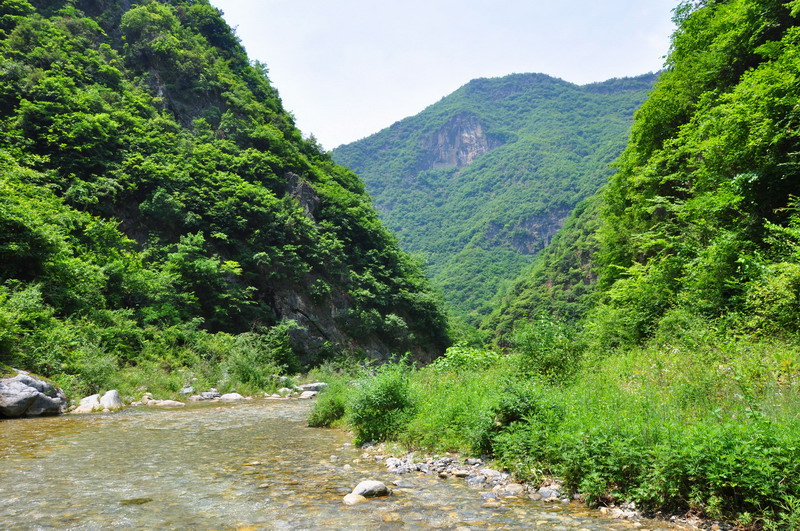 dsc_0132﹵.jpg