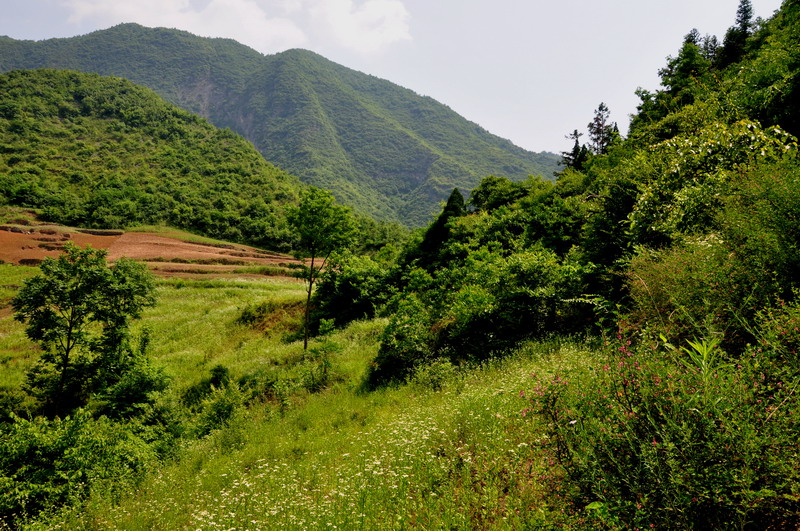 dsc_0147﹵.jpg