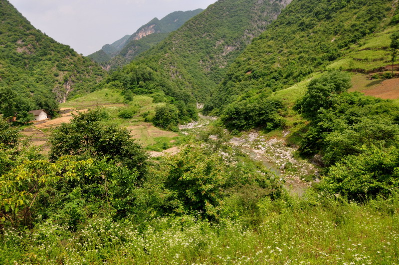 dsc_0148﹵.jpg