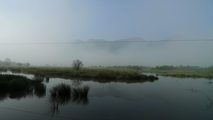 p2.jpg