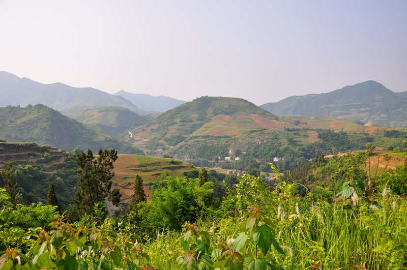 dsc_0177ϽԶ.jpg