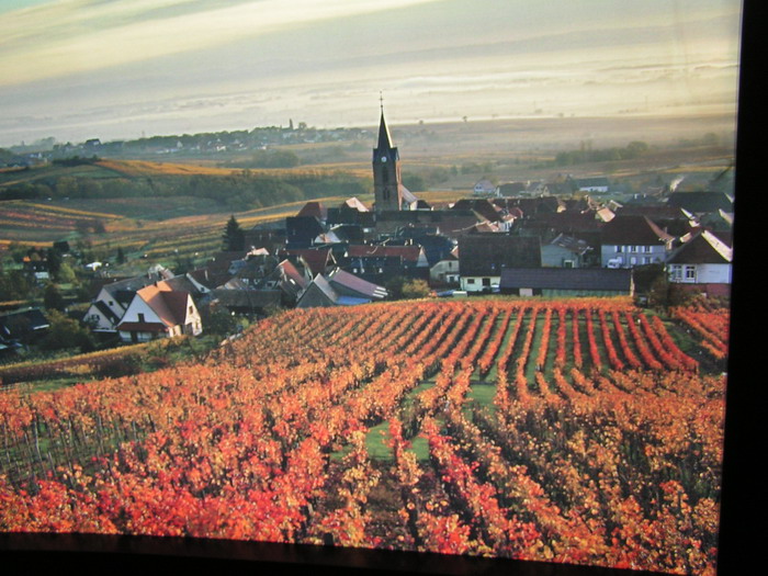 pict0710_С.jpg