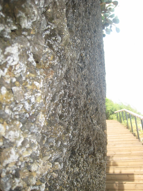 Ƭ 061.jpg