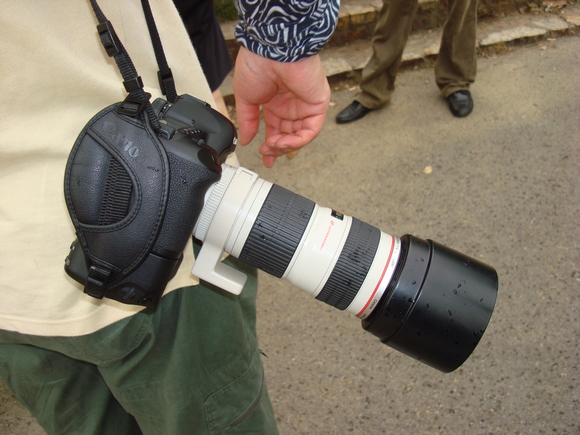 dsc04889_Ӱ_1.jpg