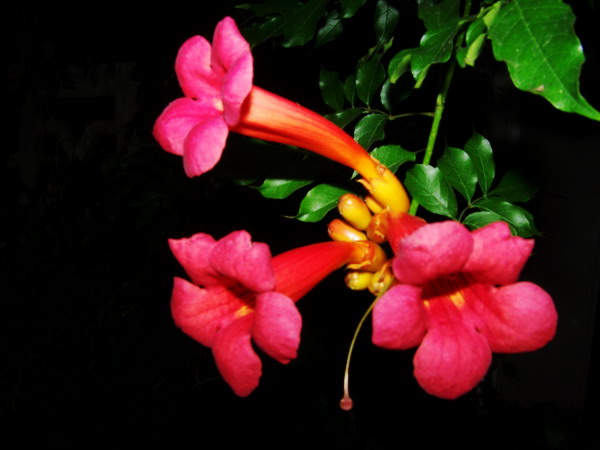 100_8567.jpg