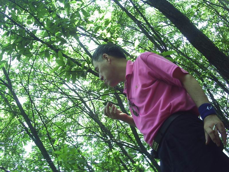 С pict0008.jpg