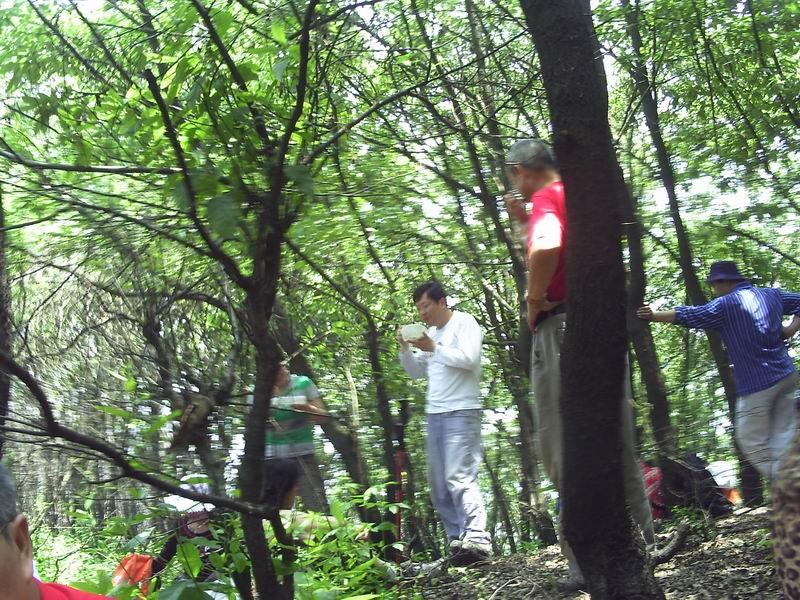 С pict0011.jpg