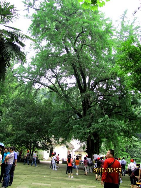 img_0026.jpg
