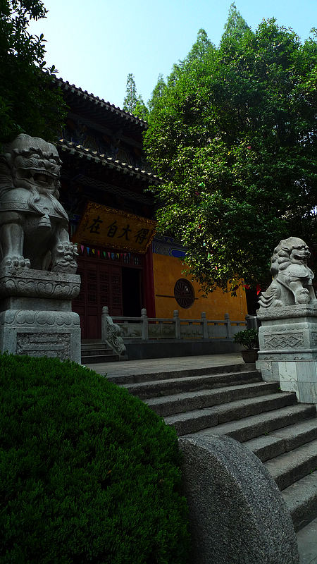 p1010302.jpg