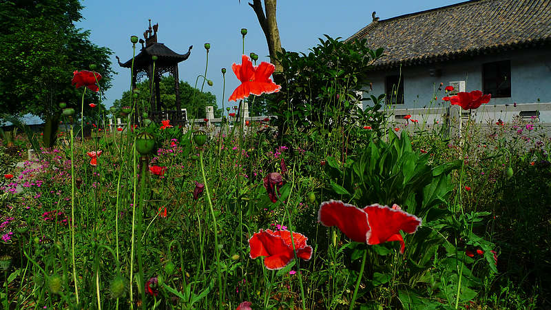 p1010316.jpg