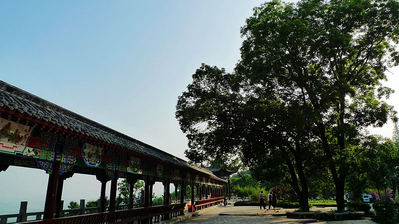 p1010348.jpg